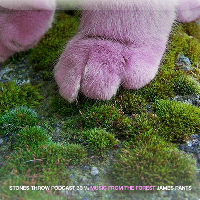 Music from the Forest, mixed by James Pants